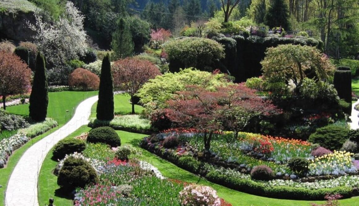 Victoria British Columbia - flowers in bloom at Butchart Gardens.