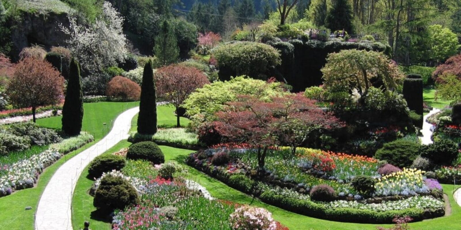 Victoria British Columbia - flowers in bloom at Butchart Gardens.