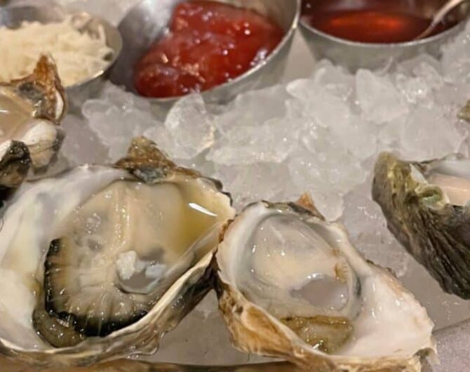 Shuckers Oyster Bar - a group of oysters on ice