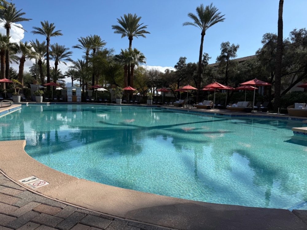 an outdoor pool surrounded by palm trees