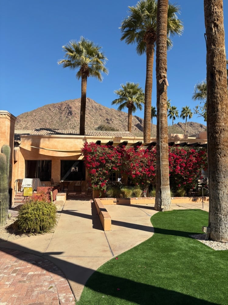 tall palm trees on the grounds of a resort with a desert mountain in the background