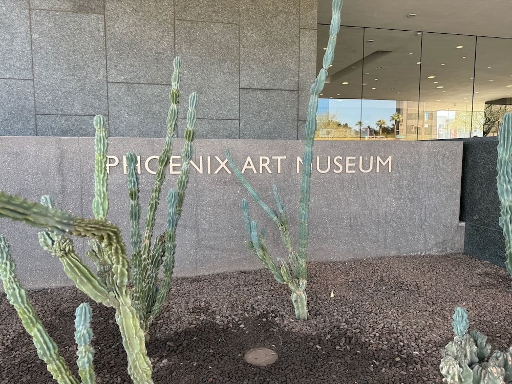cactuses in front of a sign that reads Phoenix Art Museum