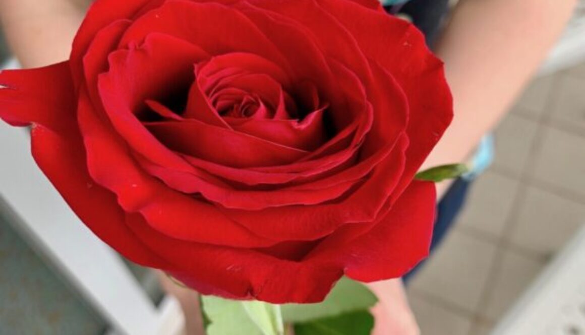 Rose from the Grand Floridian's exclusive Victoria and Albert Restaurant