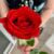 Rose from the Grand Floridian's exclusive Victoria and Albert Restaurant