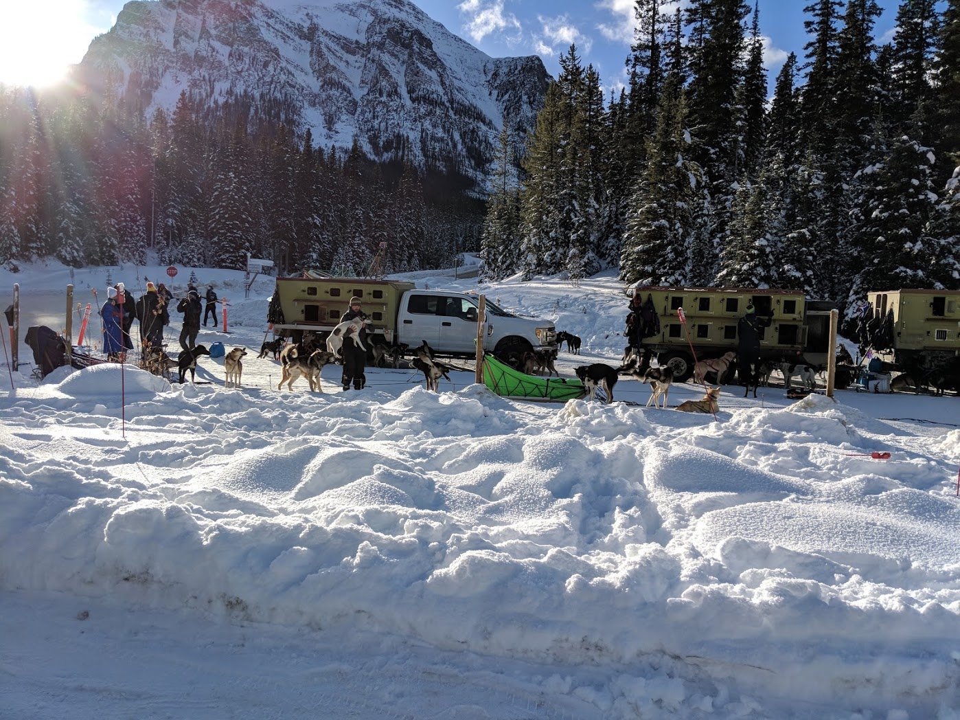 At the dog sled tour trailhead