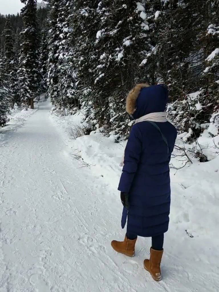 lake louise winter walk