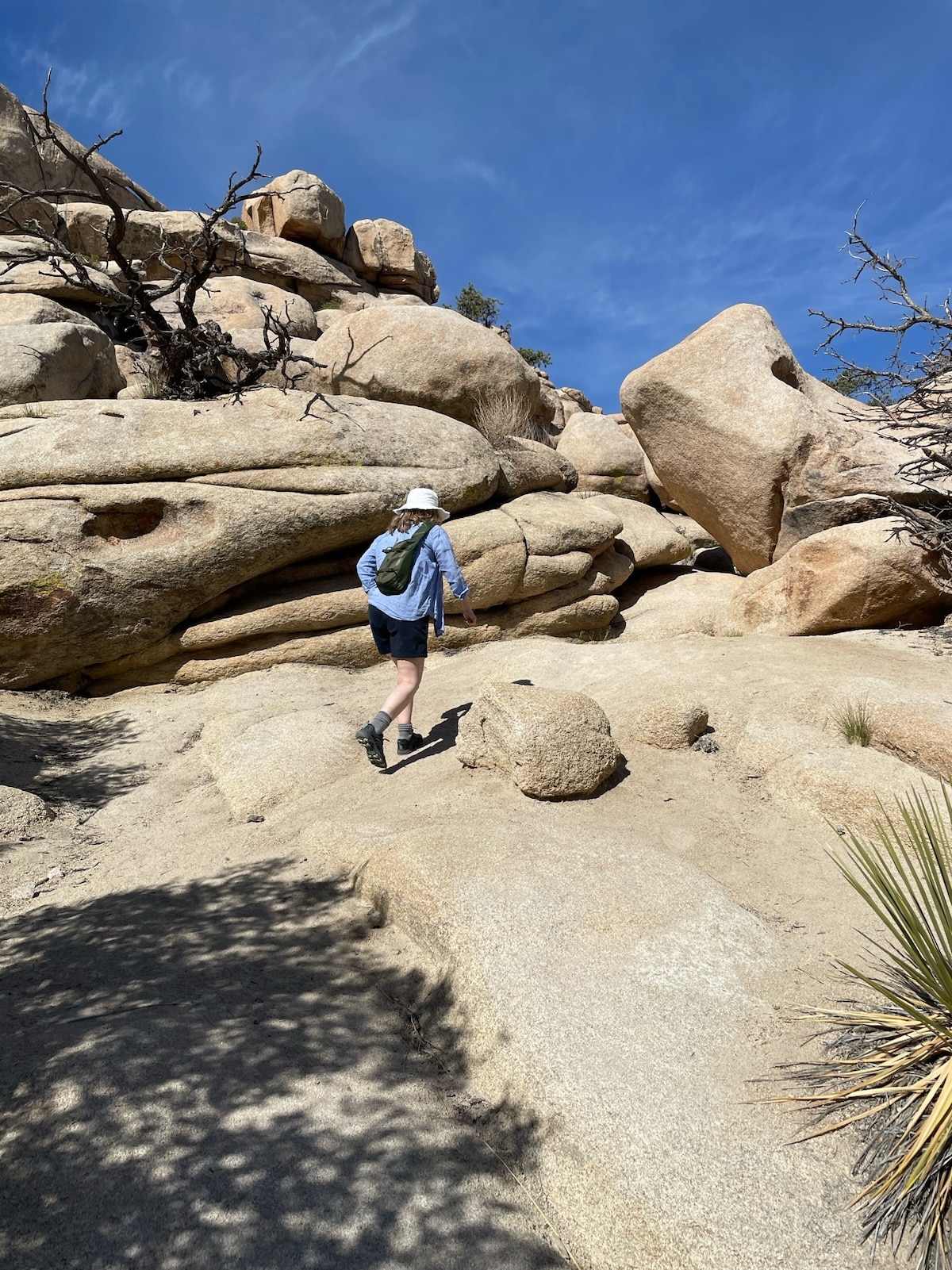 Hiking in Joshua Tree National Park