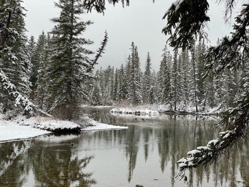 Hiking through the scenic town of Canmore