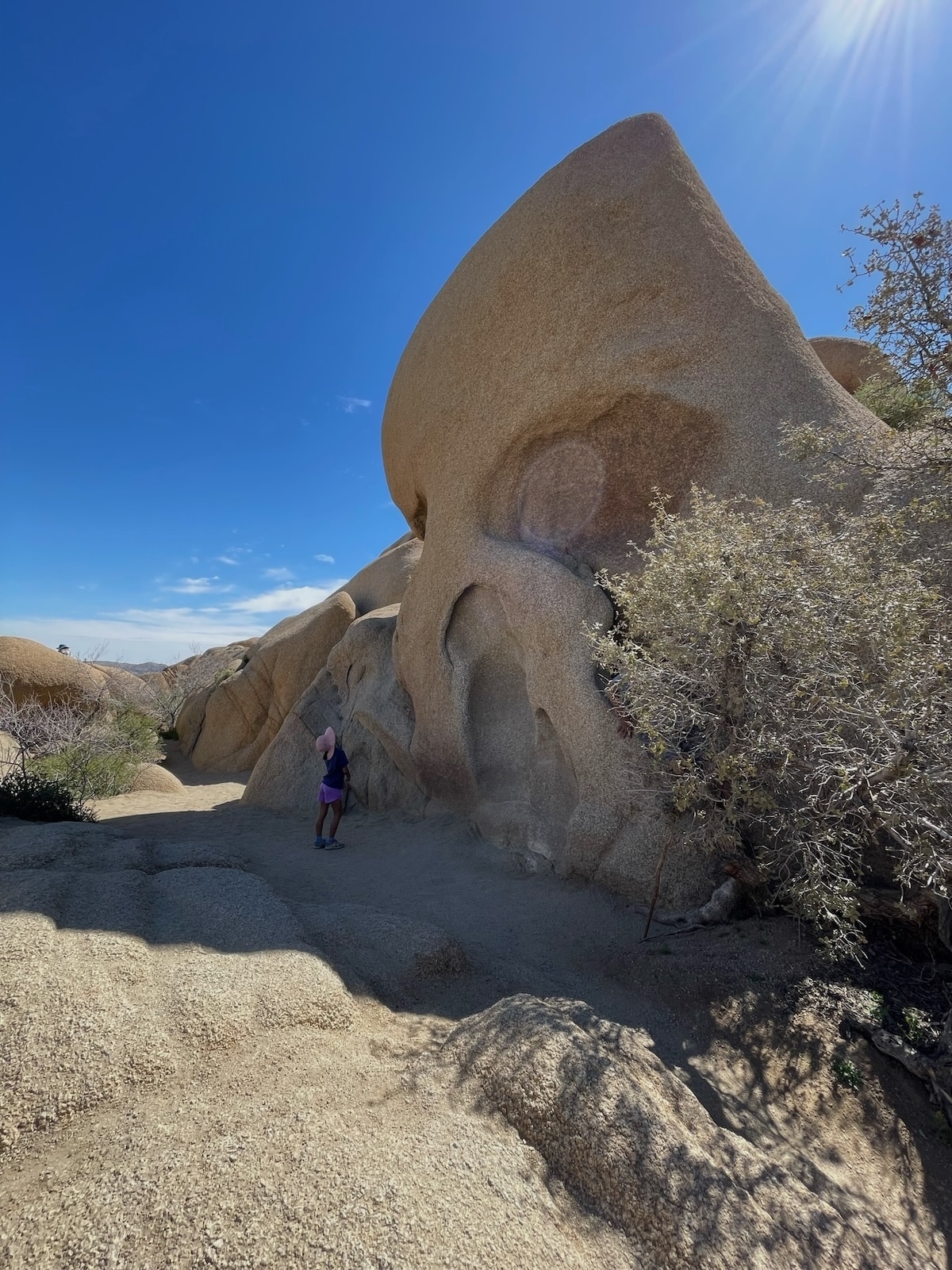 The Famous Skull Rock - Joshua Tree