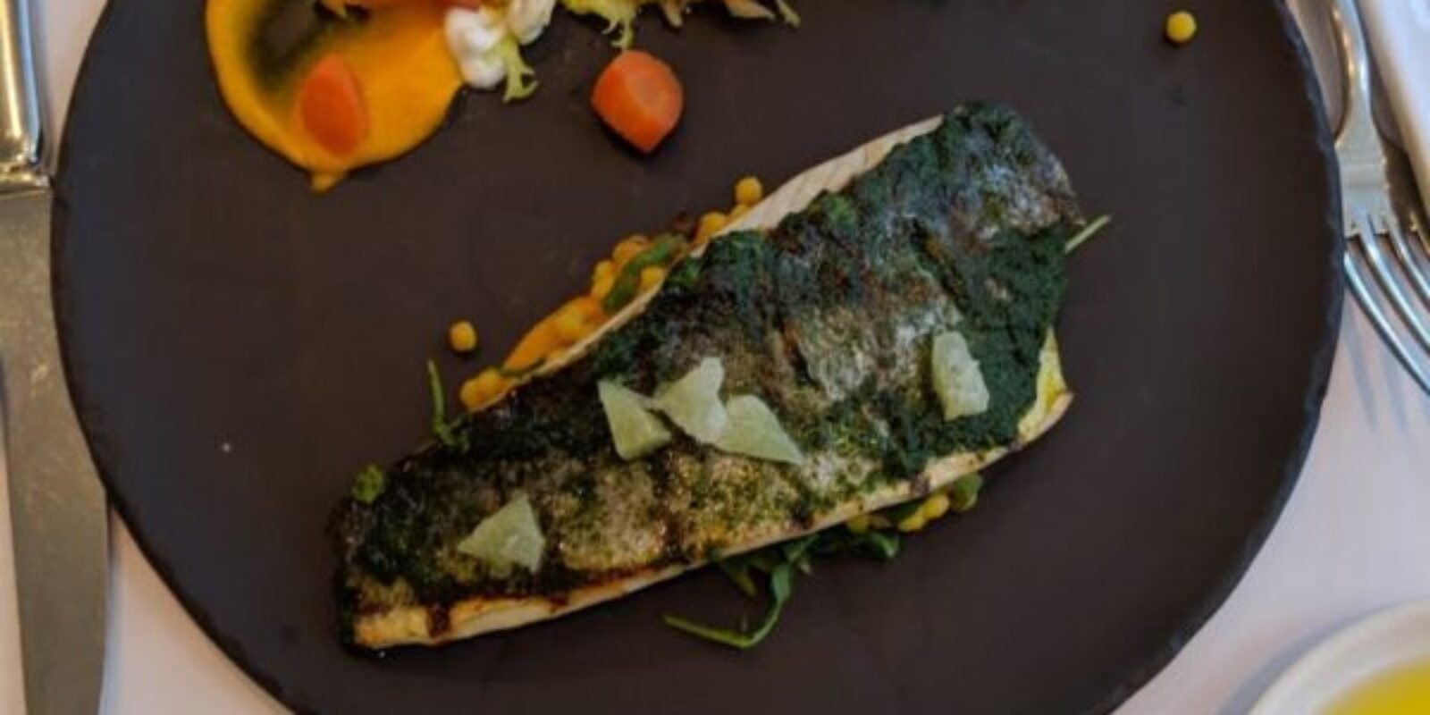 Sea Mediterranean Sea Bass