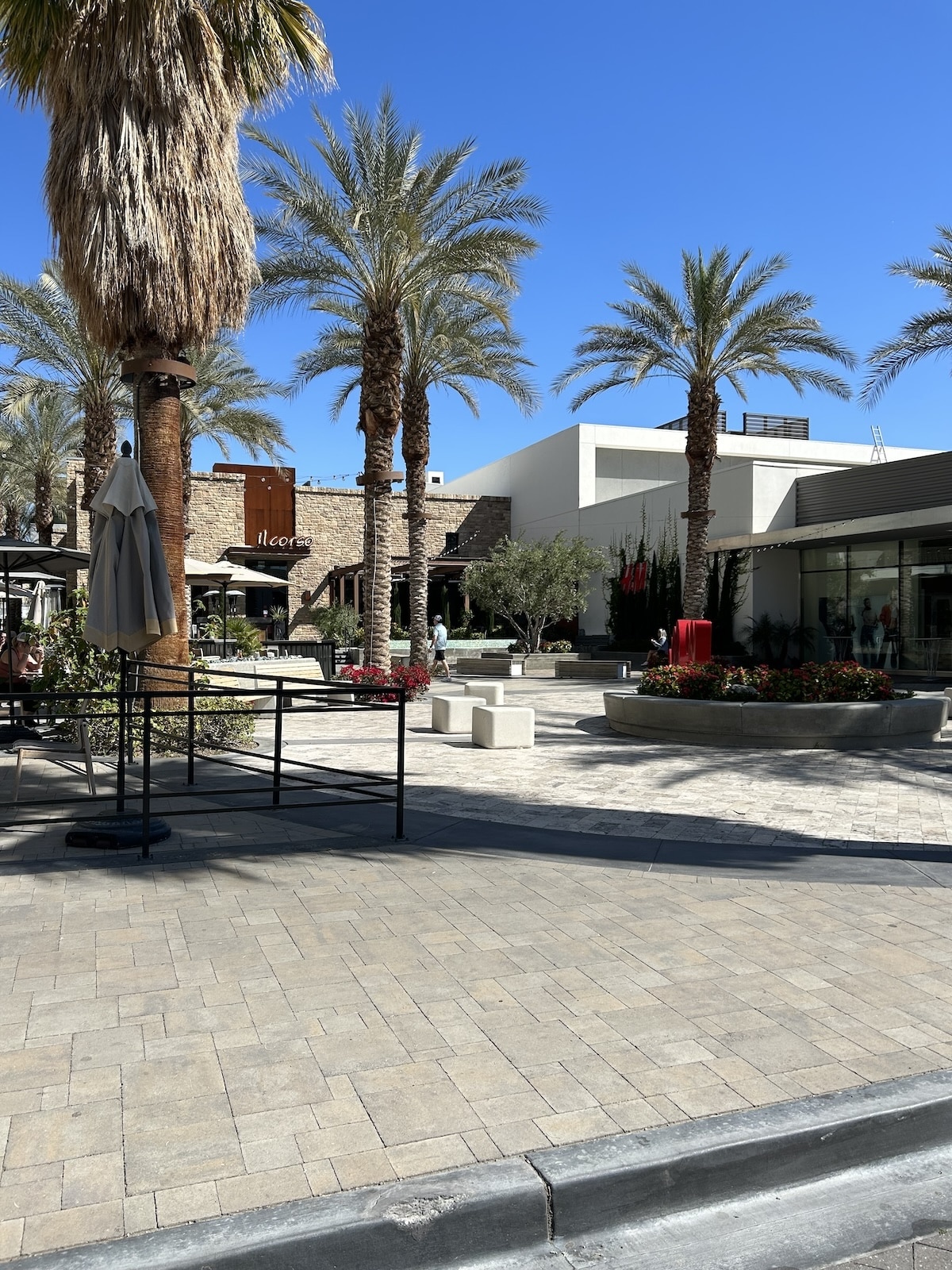 Putting the Palm in Palm Springs