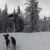 Winter wonderland