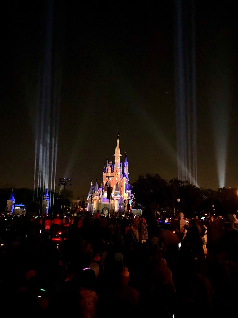 wdw magic kingdom show begins